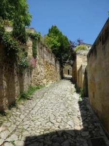 Bleu Raisin, bed&breakfast Saint-Emilion