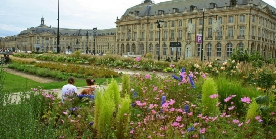 Bordeaux