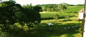 Vue sur les vignes