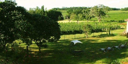 Vue sur les vignes