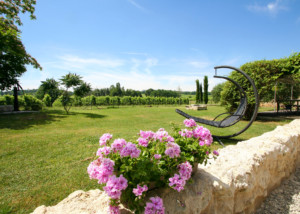 Loger dans les vignes