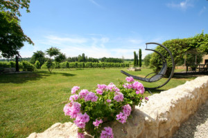 Tuin in de wijngaarden