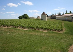 one of the châteaux in Les Salles de Castillon