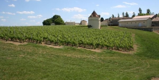 one of the châteaux in Les Salles de Castillon