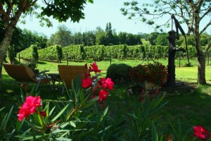 Vroegboekkorting B&B Bleu Raisin Saint-Emilion