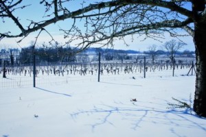 Winter_shortbreak_Bordeaux