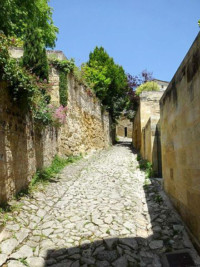 Bleu Raisin, bed&breakfast Saint-Emilion